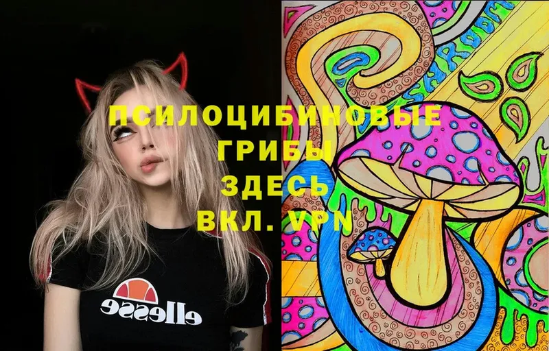 Галлюциногенные грибы MAGIC MUSHROOMS  купить   Полтавская 